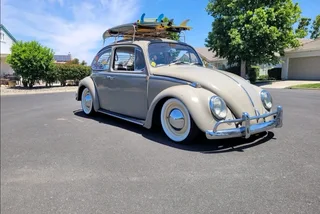 Beetle steelies 15