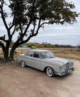 White walls - All Sizes