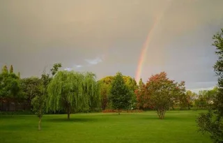 Quiet Country Bachelor