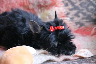 Miniature traditional girl