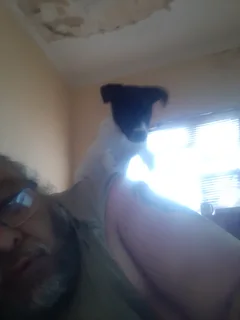 Dog - Ad posted by Julian Elliott