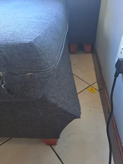 L-Shaped - Ad posted by Chiandra Tredoux