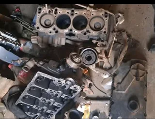 Experienced Assistant Mechanic