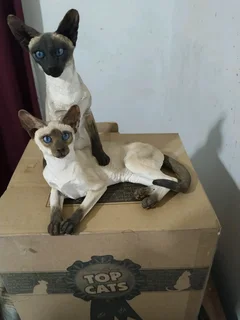 Siamese cats hand crafted and hand painted