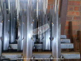 PROLINE PALISADE AND PROLAST PAINT