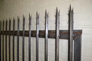 Palisade fence and gates by Proline Palisade