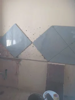 home renovation/ building/ maintenance services