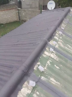 qualified builder/ maintenance handyman looking for work