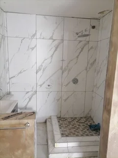 professional handyman / home maintenance guy