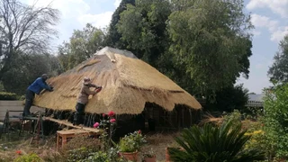 SIDWELL THATCHERS AND LAPAS