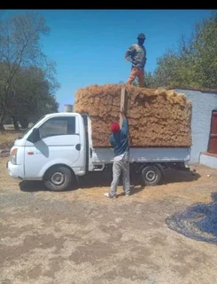 SIDWELL THATCH ROOFS AND LAPAS.