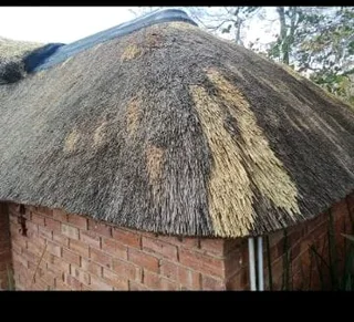 SIDWELL THATCH ROOFS AND LAPAS.