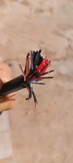 Armoured electric cable