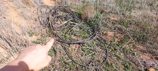 Electrical cable Semptex