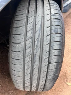 17” Multi PCD mags