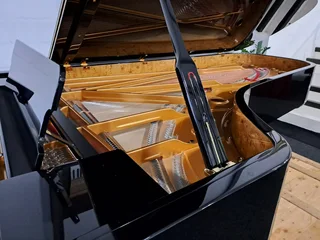 Fazioli concert grand piano