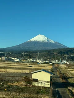 Sandton- domestic required