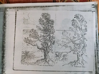 A3 Book on how to draw