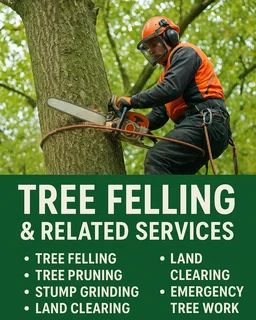TREE FELLING