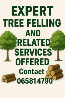 TREE FELLING