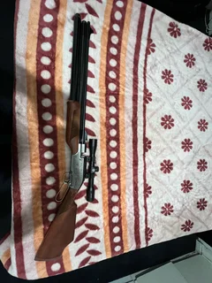 Sumatra 2500 .22 pcp air gun