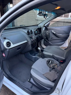 Polo 6 for stripping