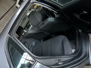 Polo 6 for stripping