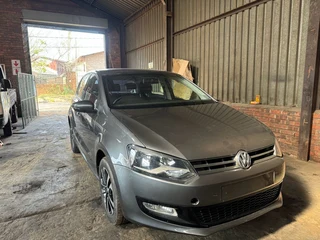 Polo 6 for stripping