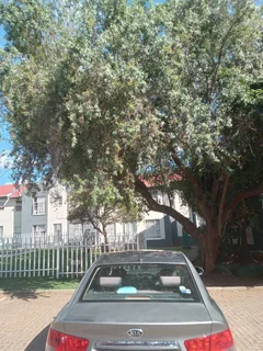 2010 Kia Cerato Sedan