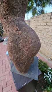 Fibre Glass Moulded Torso Sculpture