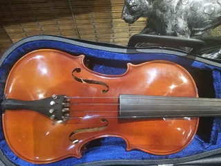 Strunal 240 4/4 Violin
