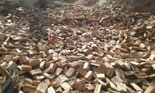 Tree Felling and site clearance &#64; affordable prices