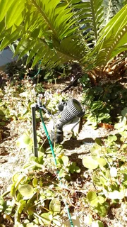 Gardenlights installation