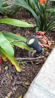 Gardenlights installation