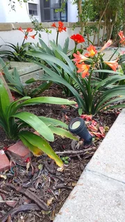 Gardenlights installation