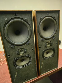 B&amp;O Beovox 2400 for sale