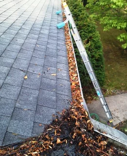 Professional gutter cleaning service for homes & apartment complexes