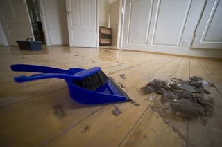 Move In or Out Cleaning Service