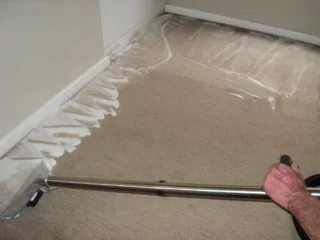 Professional Carpet Cleaning in Cape Town