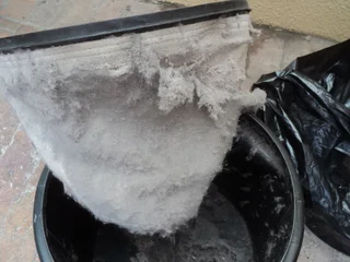 Professional Carpet Cleaning in Cape Town