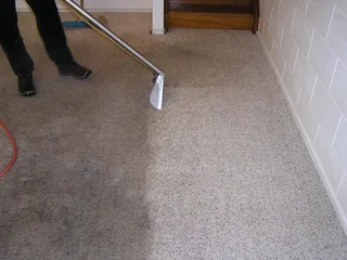Professional Carpet Cleaning in Cape Town