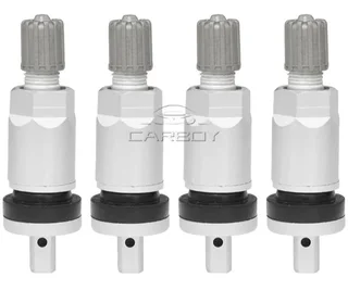 Tata TPMS tyre valves stems