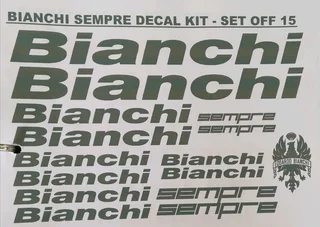 Bianchi frame head tube stick on badges