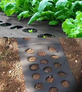 Splitbelts for feedtroughs