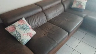 Lounge couches