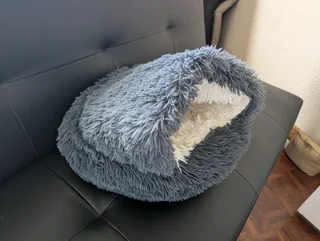 Hooded cat bed and cardboard scratching post