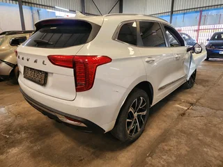Haval Jolion Stripping