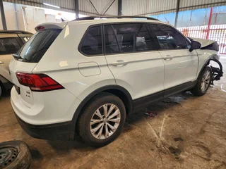 VW Tiguan Stripping