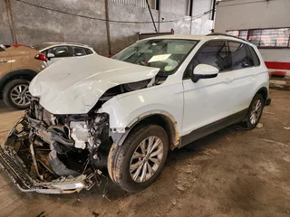VW Tiguan Stripping