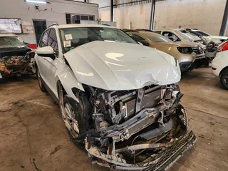 VW Tiguan Stripping